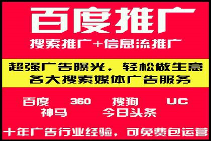 SEM优化策略：案例解读成功之道